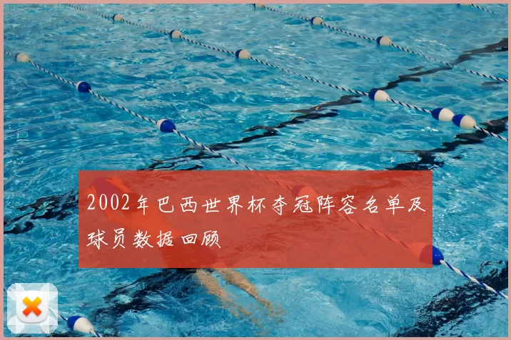 2002年巴西世界杯夺冠阵容名单及球员数据回顾