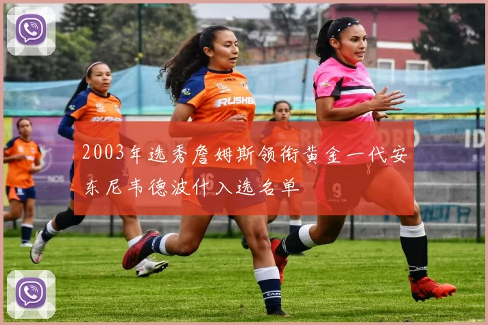 2003年选秀詹姆斯领衔黄金一代安东尼韦德波什入选名单