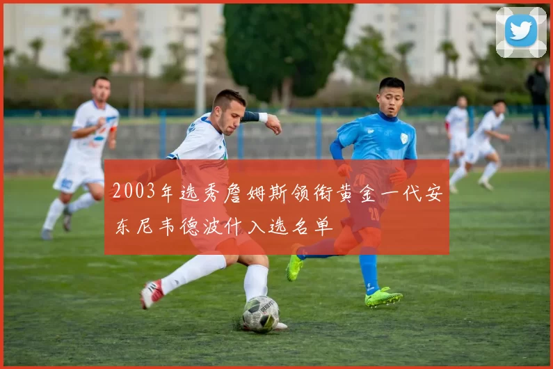 2003年选秀詹姆斯领衔黄金一代安东尼韦德波什入选名单