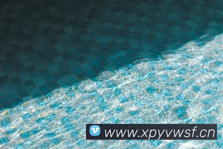 世界杯下单网站品牌故事